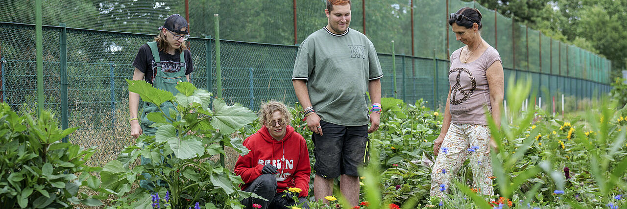 Ausbildung in der Gärtnerei Am Ritterholz